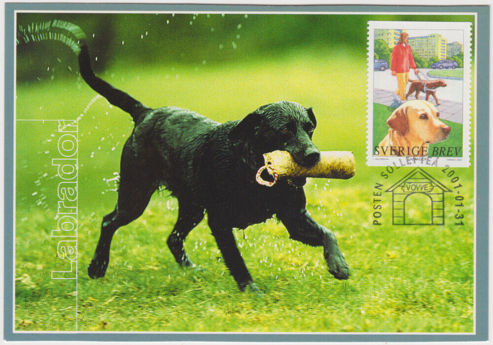 Sweden Maxi 2001, Dogs, Labrador, Mint
