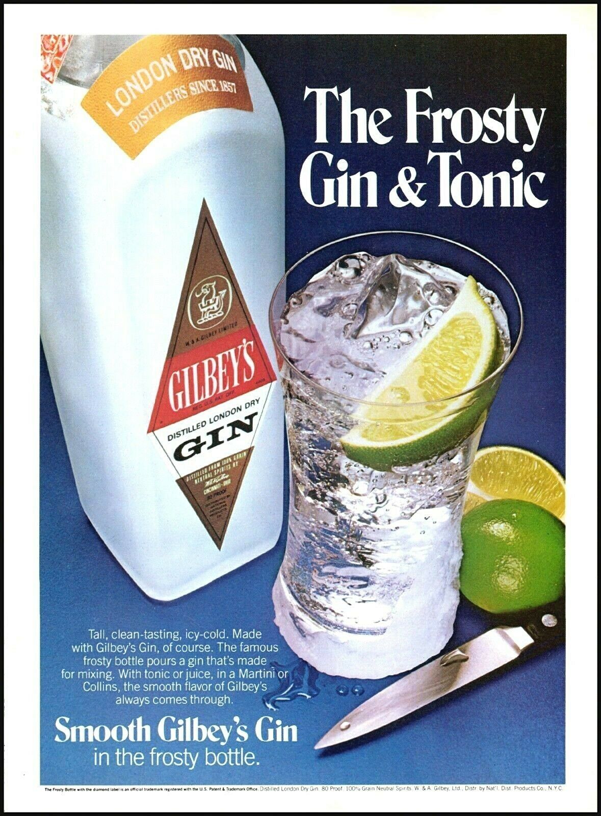 1980 Gilbey's Gin Frosty Gin & Tonic Bottle Lime Vintage Photo Print Ad Ads28