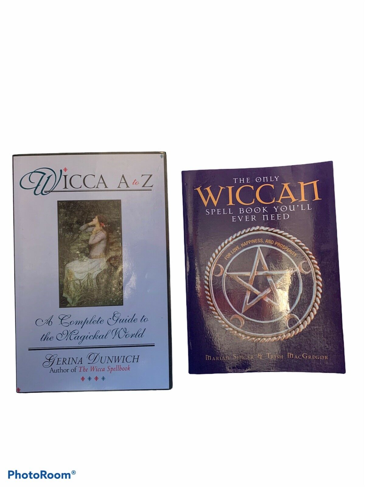 Wiccan Book Lot (2) Wicca Witch Spell Craft
