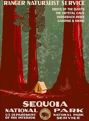 1938 Sequoia National Park Vintage California Travel Advertisement Poster Print